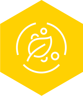 GMP�I(y��)��